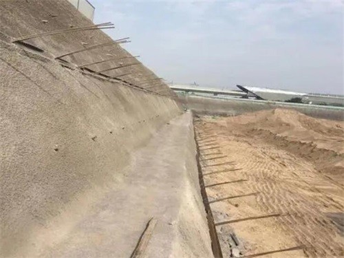 杭锦后河道边坡加固